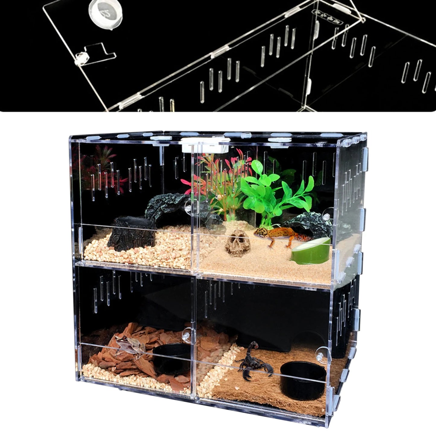 Acrylic Pet Box 4 Grid Reptile Lizard Breeding Insect Box
