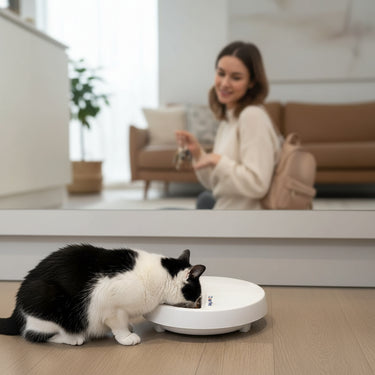 5-Meal Automatic Pet Feeder