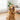 pets hair remover