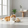 pets hair remover