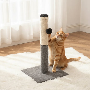 Cats Scratching Post