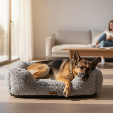 Thickened Dog Bed