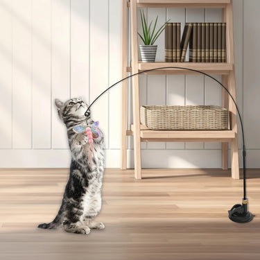 Cat Teaser Toy