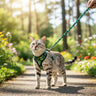 Green Cat Harness