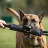bully chew toys