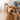 Dog Toothbrush Bone