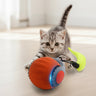 Hot Interactive Cat Toys