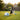 dog ball launcher