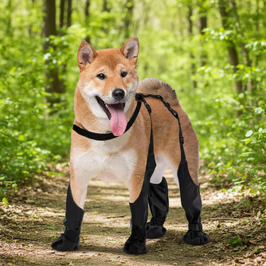 Dog Boots Leggings