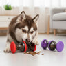 Pet Leaky Puzzle Dog Toy