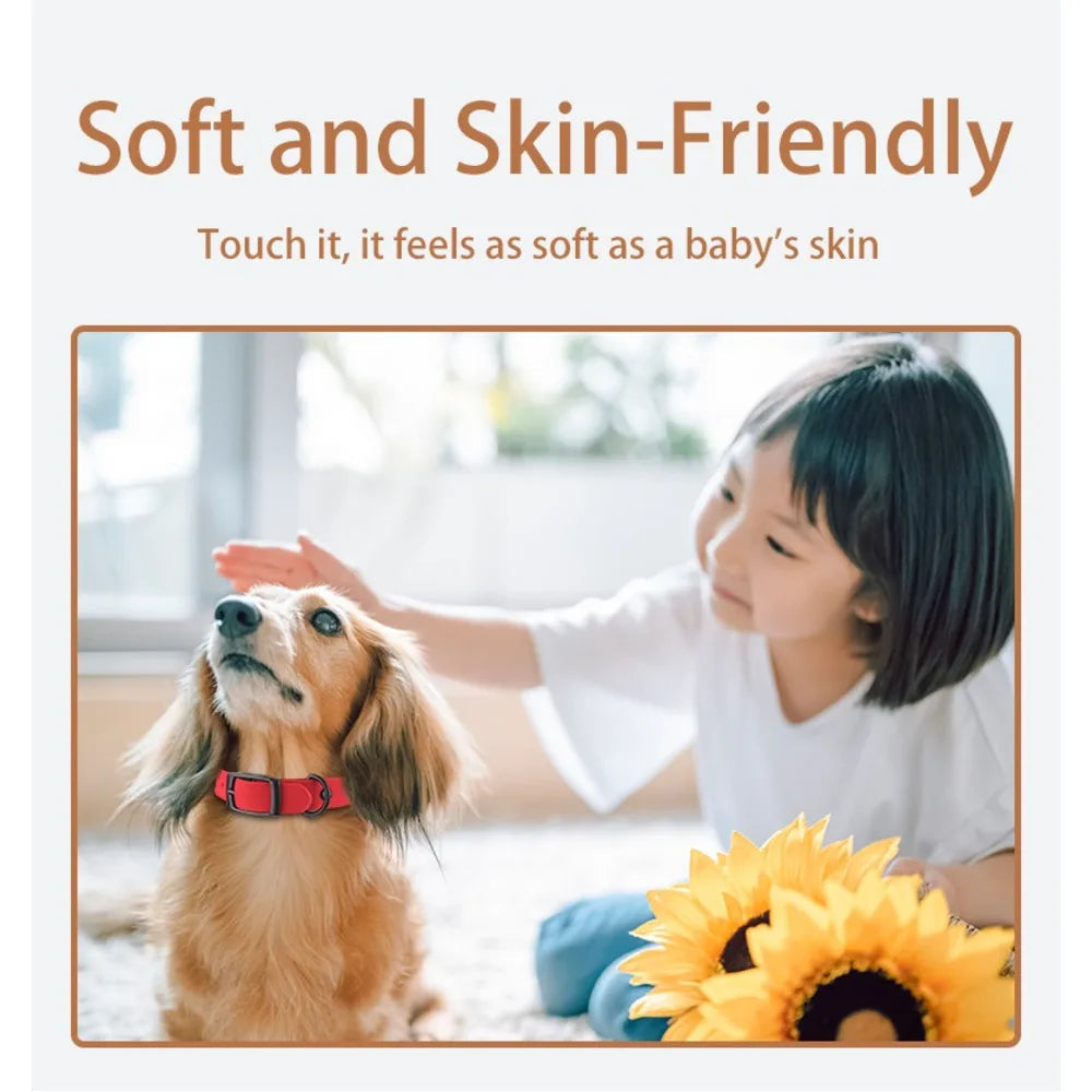 Silicone Pet Collar Leash Set Dogs Waterproof Reflective