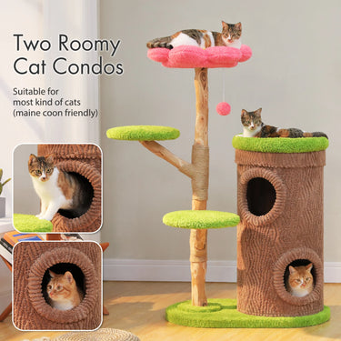 Wooden Cat Tree with Condo