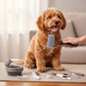 slicker brush for dogs