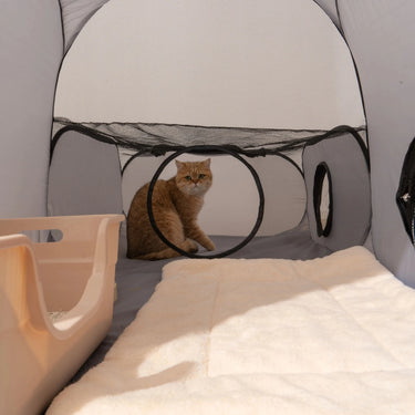 cat tunnel
