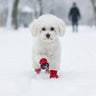 Dog Snow Boots