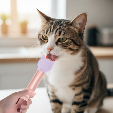 Cat Strip Feeders
