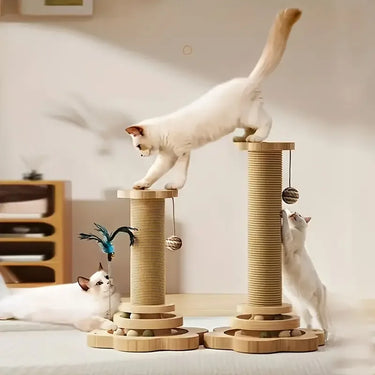 cat post