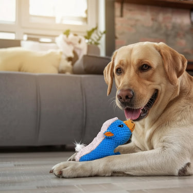 indestructible dog toys