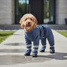 dogs raincoat