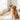 pets hair remover