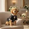 Dog Tuxedo
