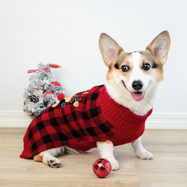 Plaid Dog Sweater