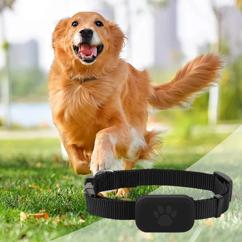Smart Pet Tracker With Adjustable Collar For Cats And Dogs