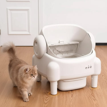 best litter box