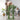cactus cat tree tower
