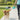 Dog Leash