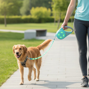 Dog Leash