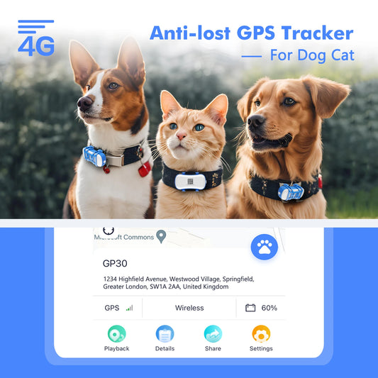 4G Mini Cat GPS Tracker Waterproof Pet Locator Android iOS
