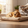 self-heating pet pad