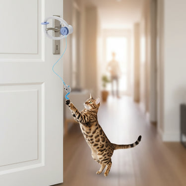 Door Hanging Cat Toy
