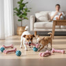 Pet Chew Ball