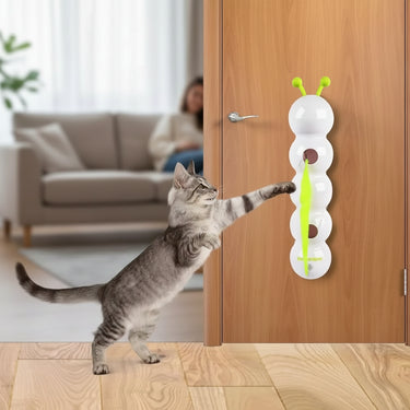 Toys of Cat