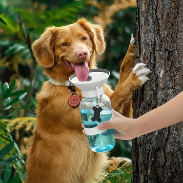 dog water bottle