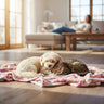 Dog Blankets