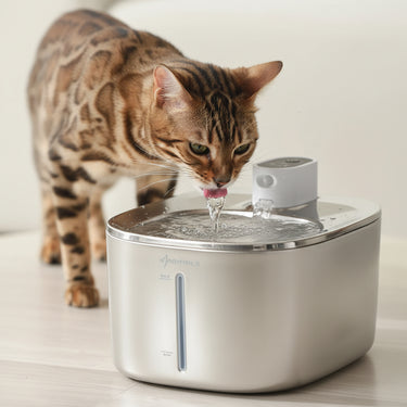 4L Automatic Pet Water Fountain