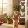 Interactive Cats Toys