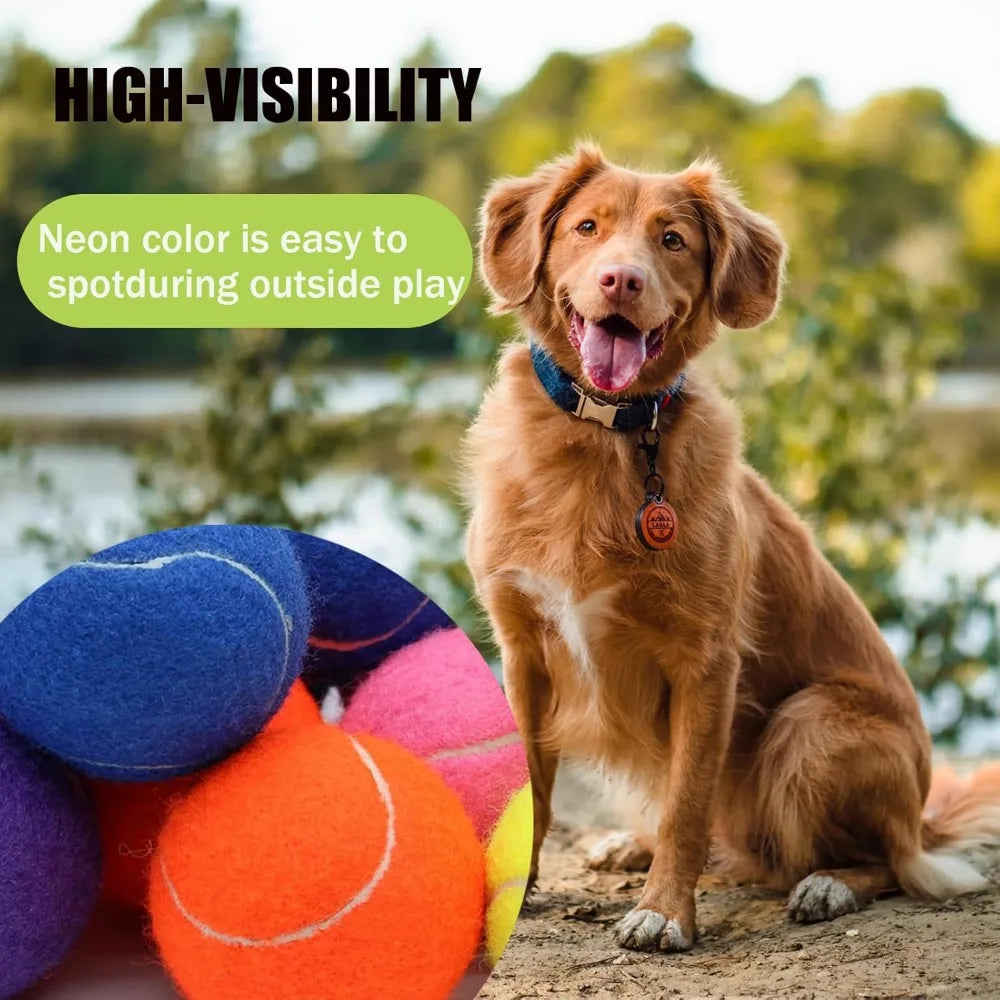 Magicorange Large 4 Inch Tennis Balls For Dogs Pack Of 6