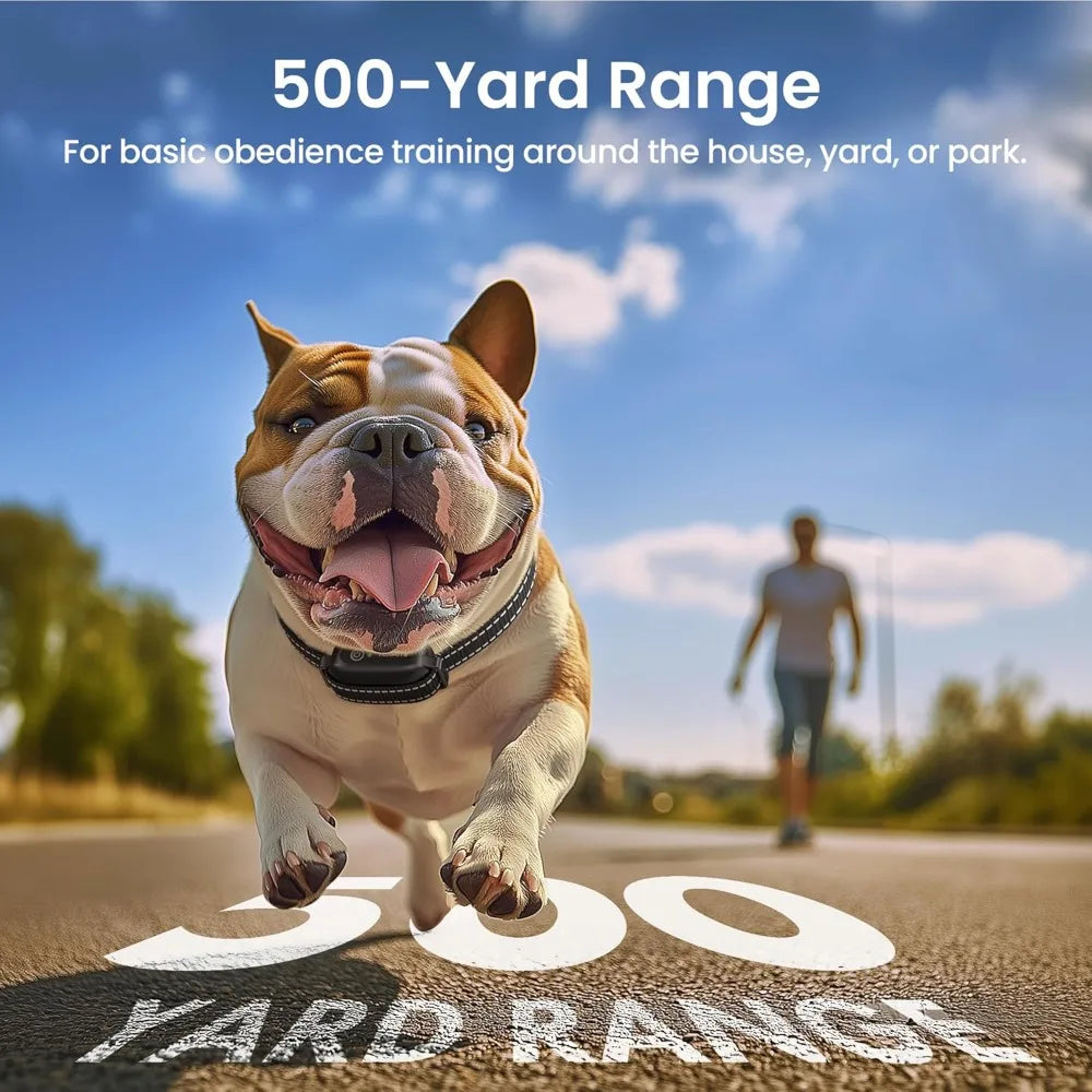 Anti Tugging Dog Training Collar With Remote IPX7 Waterproof