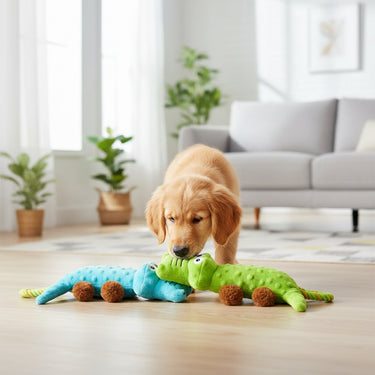 Pets Dog Squeaky Toy
