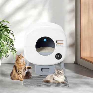 self cleaning cat litter box