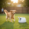 dogs ball launcher