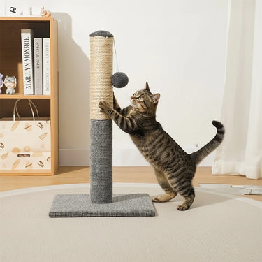 Cats Scratching Post