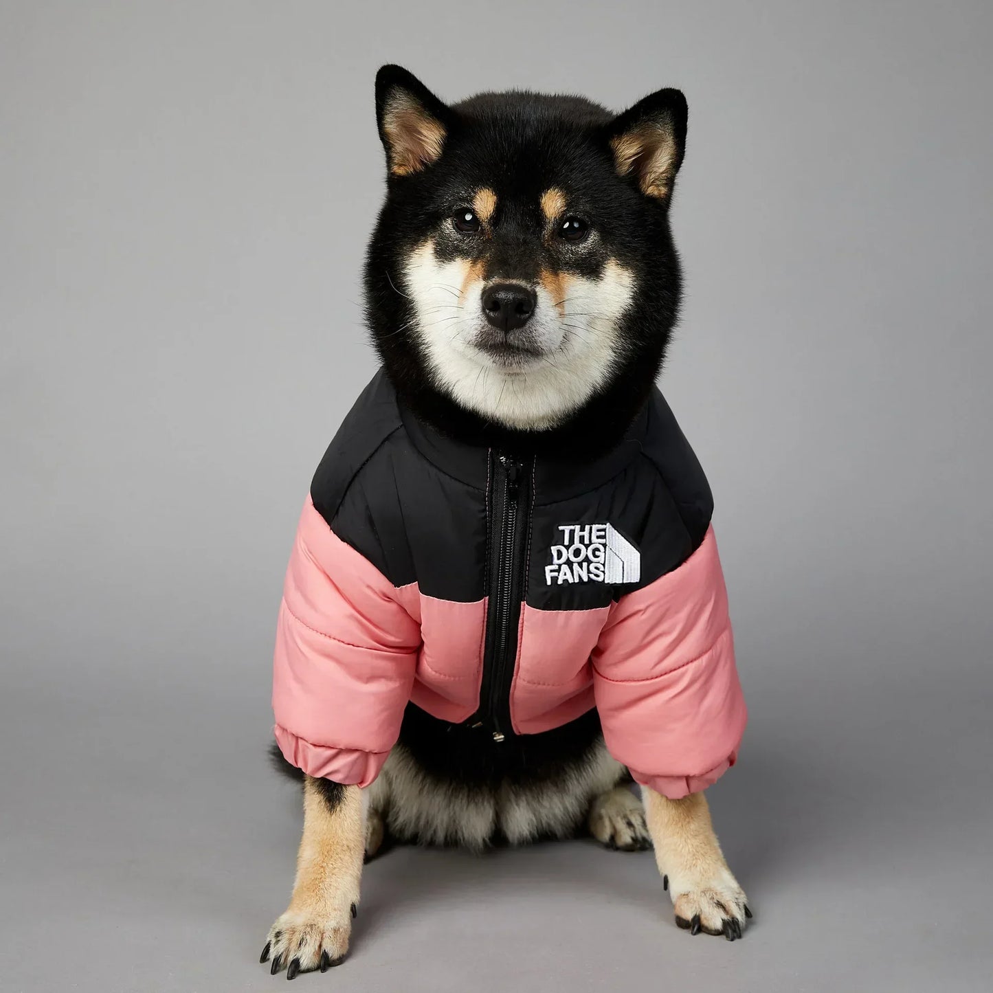 Winter Dog Down Jacket For Small And Medium Dogs Warm Coat