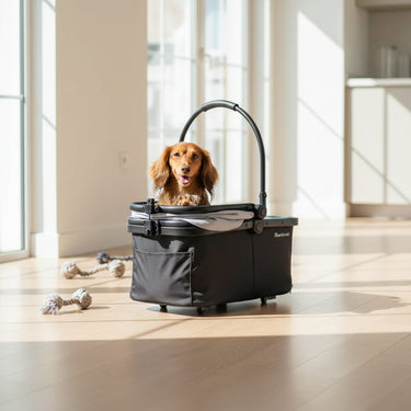 pets strollers