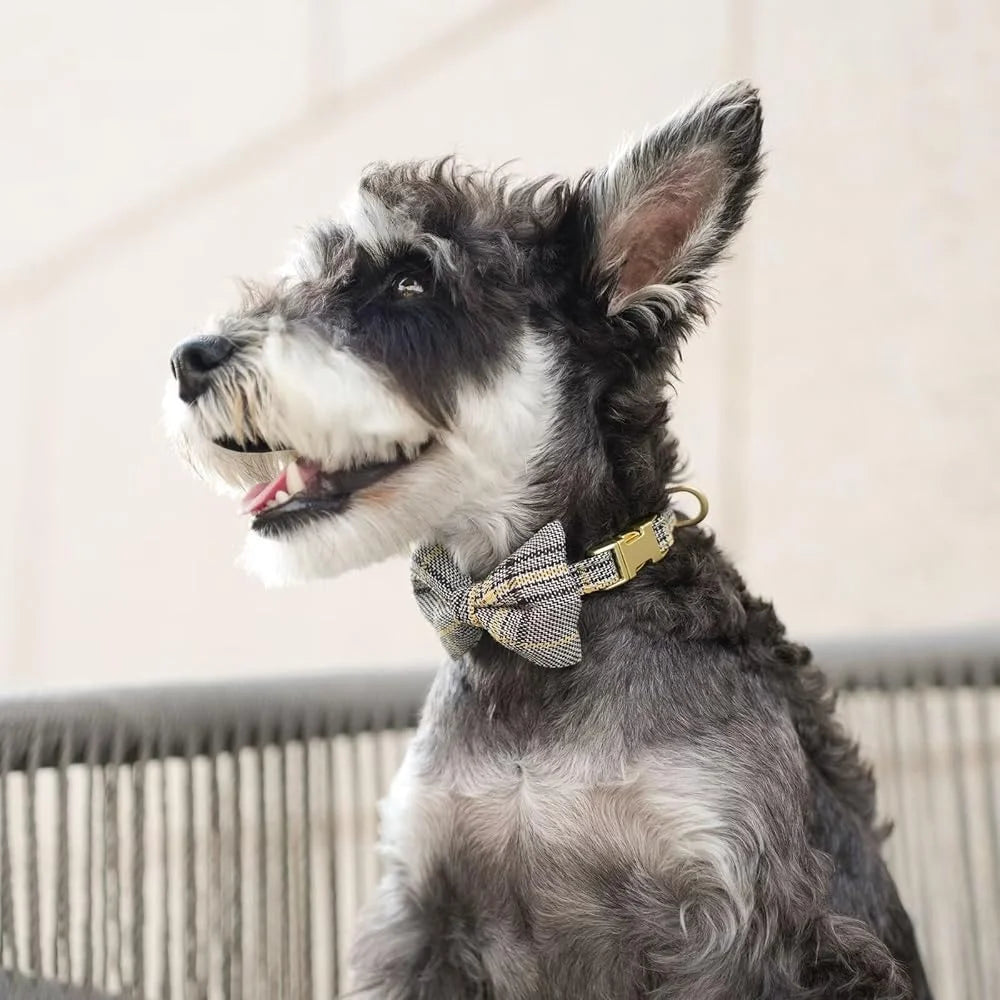 Cute Small Dog Harness Adjustable Plaid Collar Leash Bowtie