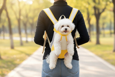 dog carrier backpack